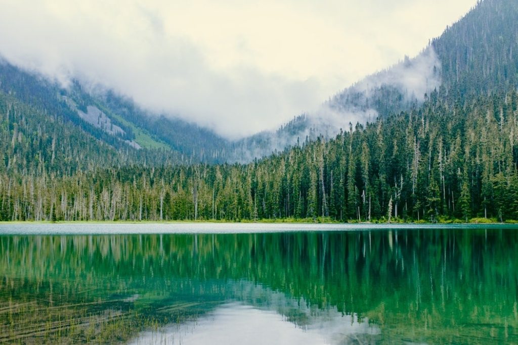 Mountain lake and pine tree forest near Vancouver, BC