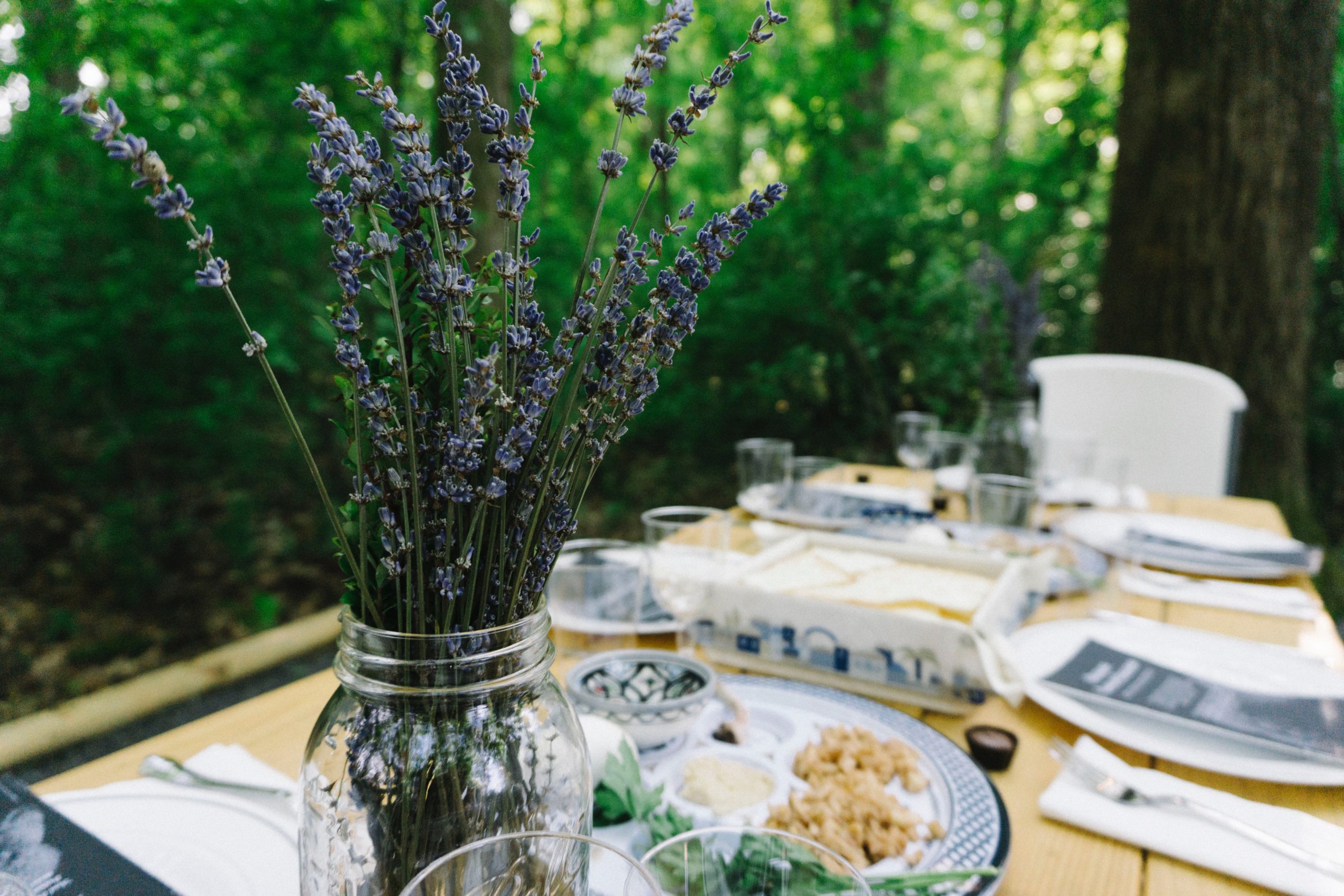 Table with Passover seder and French lavendar